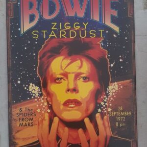 Metal Sign 30 x 20 cm , David Bowie Ziggy